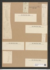 Diatomeae indet. Zeichnungen Sammlung Grunow Nr. 6594 (NHMW-BOT-W0375344)